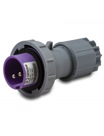 SP.2P 16A 50/60HZ 24V IP67 VIOLA