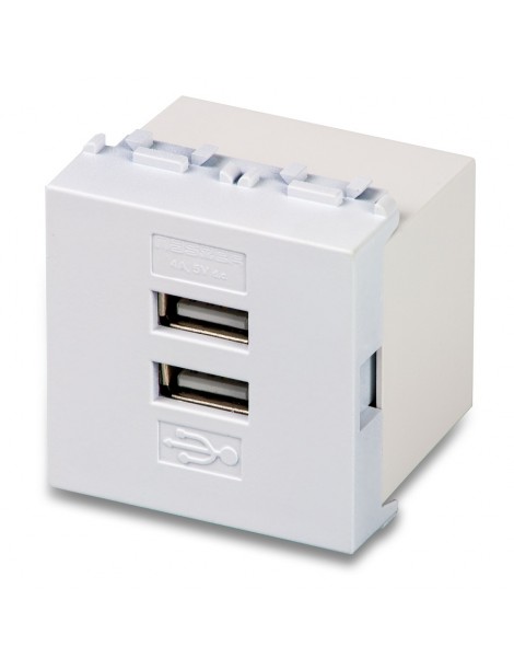 MIX ALIMENTATORE 2 USB 5V 4A 2MOD.