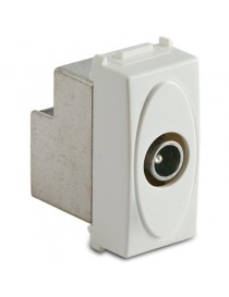 MODO PR.COAX IEC MASCHIO DIR. 5-2400MHZ